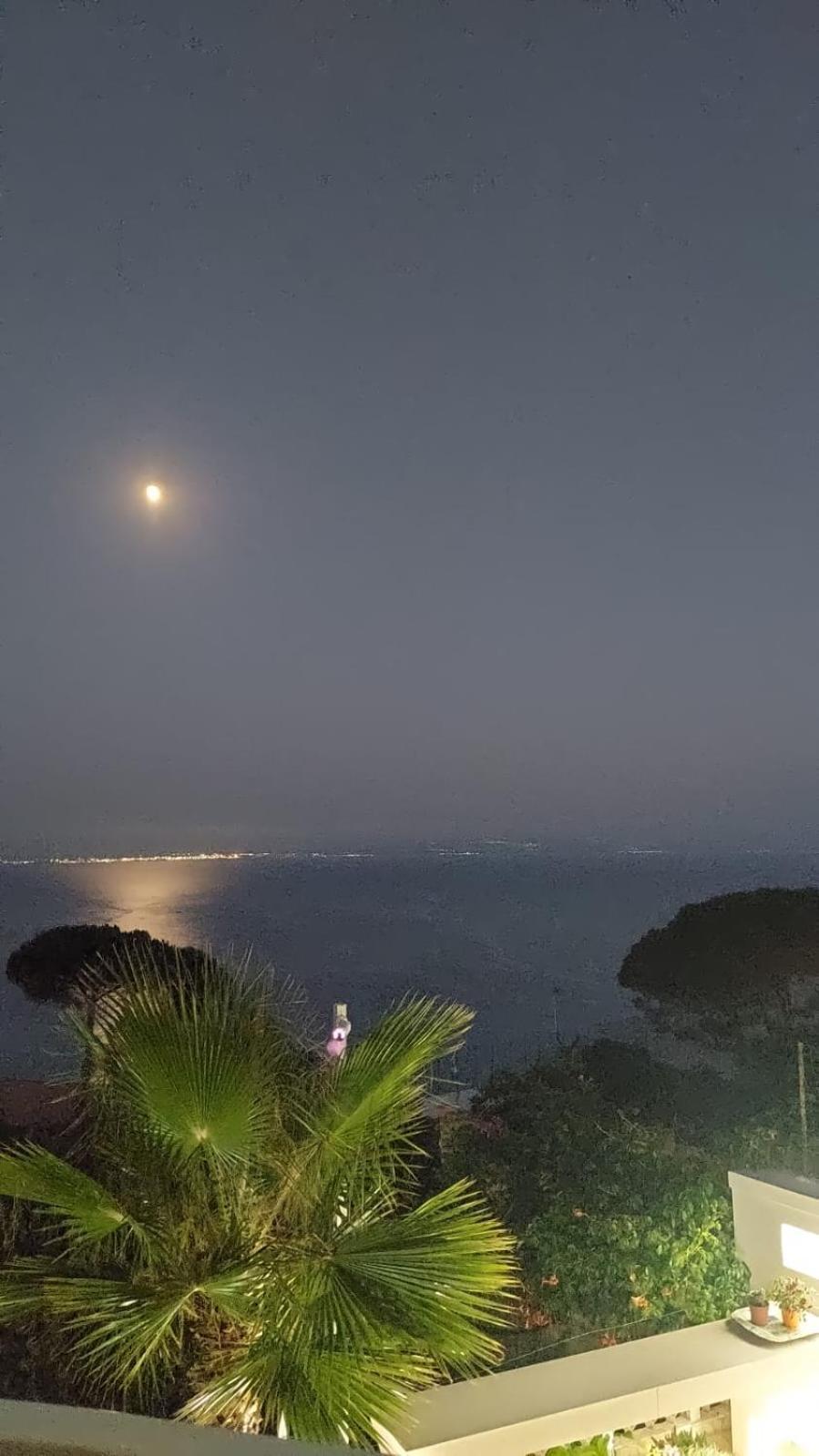 Villa Anna Maria Capo Vaticano Esterno foto