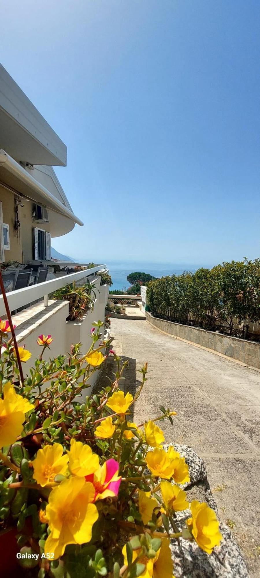 Villa Anna Maria Capo Vaticano Esterno foto