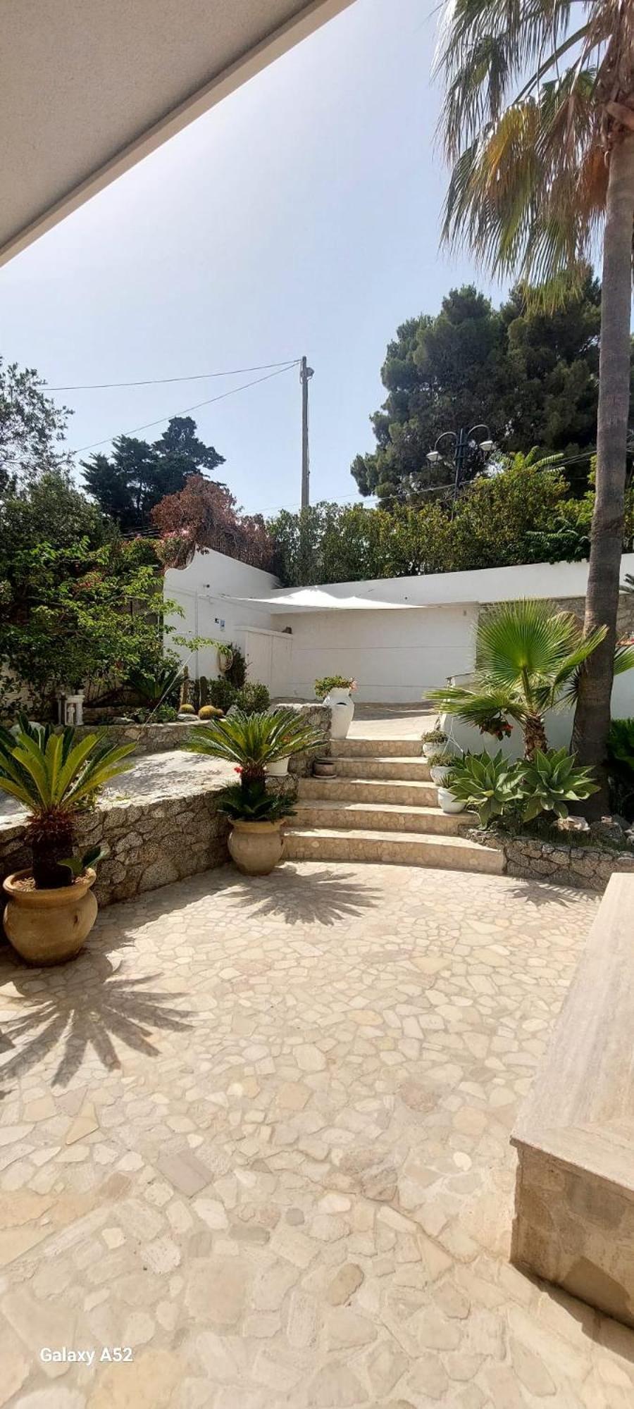 Villa Anna Maria Capo Vaticano Esterno foto