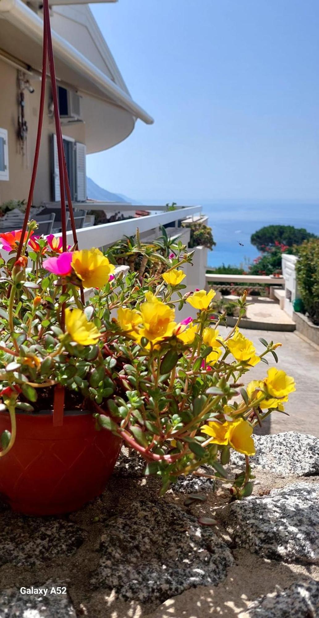 Villa Anna Maria Capo Vaticano Esterno foto