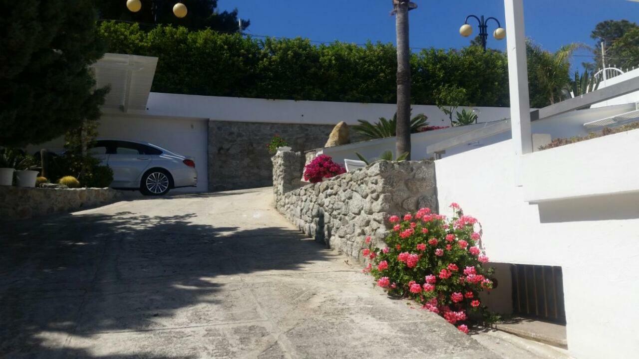 Villa Anna Maria Capo Vaticano Esterno foto